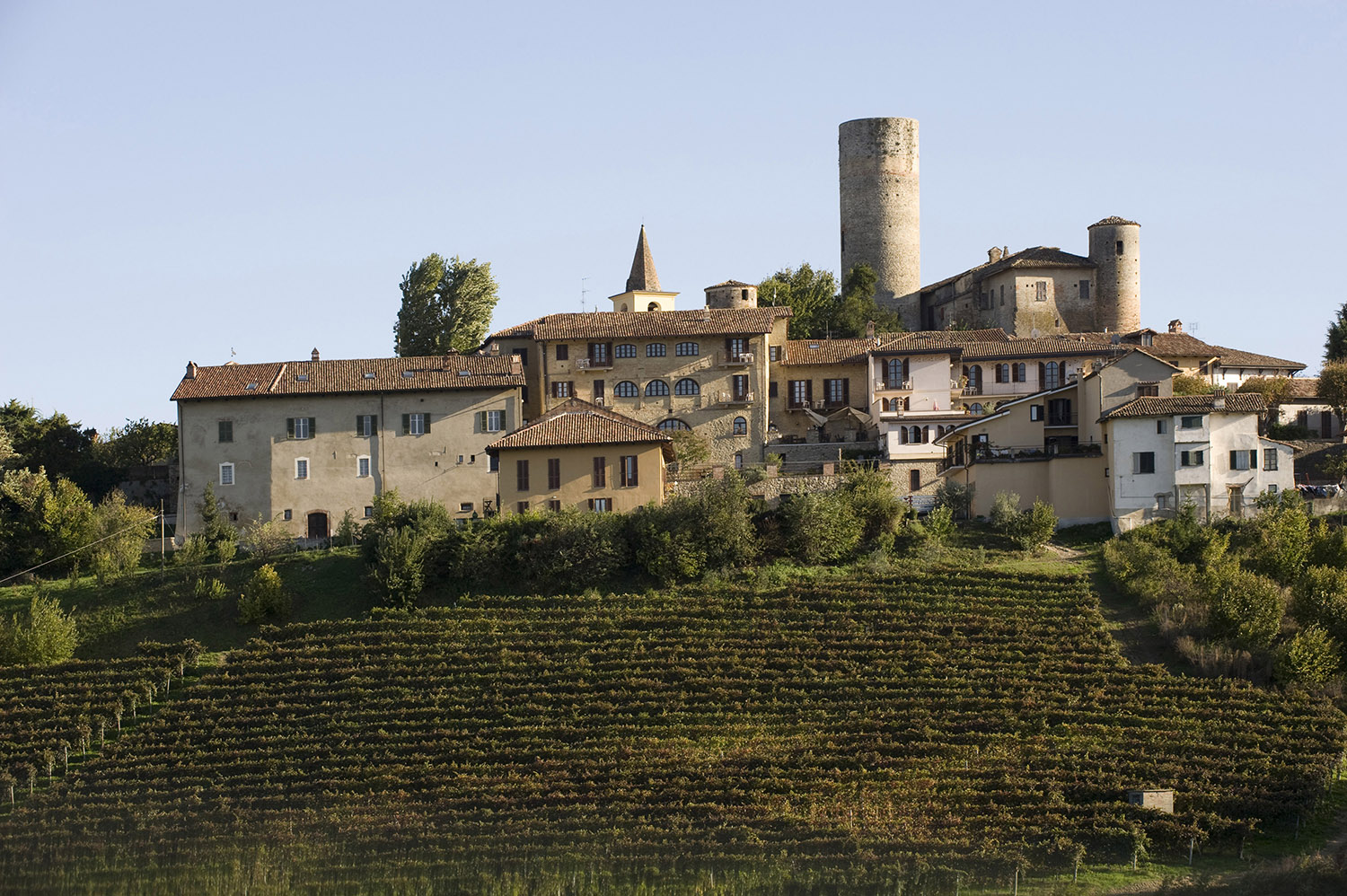 Cantina Vietti