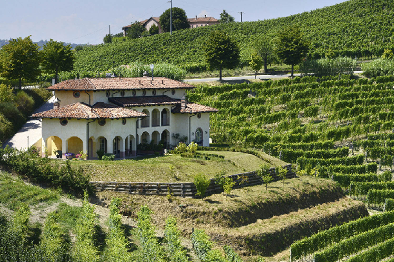 Cantina Massimo Rattalino